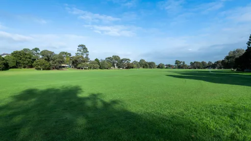 Large grass area with five soccer pitches standing in a row. There are large shadows in the foreground and to the right and tall trees in the distance.