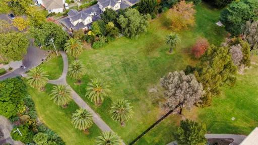 Aerial view of rectangular grass area surrounded by a variety of trees. There is a walking path and a line of palm trees to the left and houses at the top.