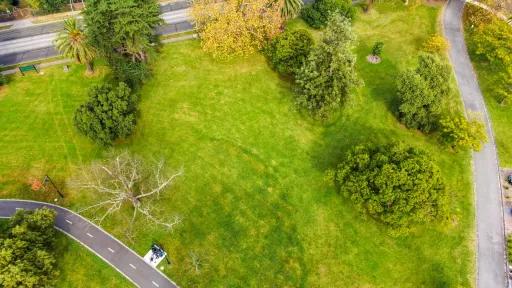 Aerial view of grass area with footpaths at the bottom and right and scattered medium-sized trees. There is a road at the top.