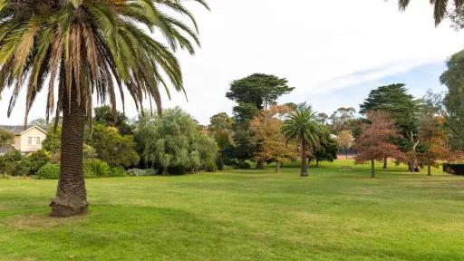 Large grass area with a palm tree to the near left and large trees in the distance. There is a house to the far left.