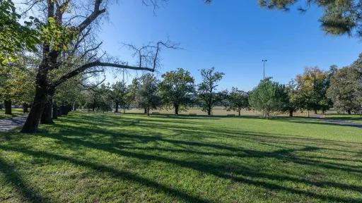 Grass area in sunshine with line of medium trees on the left and far sides. There are tree shadows across the grass.