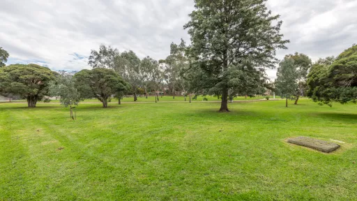 Grass area with tall leafy tree in the centre and scattered smaller trees. There is a small rectangular patch of turf tio the near right and a walking path in the distance.