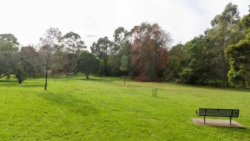 A metal park chair overlooking a park with green grass and trees