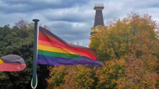 rainbow flag on a flagpole waving in the wind