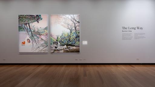 Installation view, 'The Long Way: Kevin Chin', Town Hall Gallery 2024
