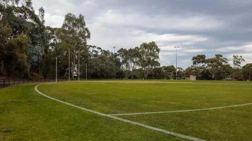 A fenced sports field, with line markings, AFL goal posts and green grass.