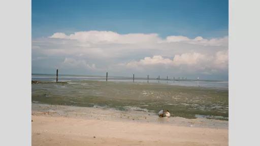 Photograph of a beach at low tide. An adult and child are crouched looking at shells.