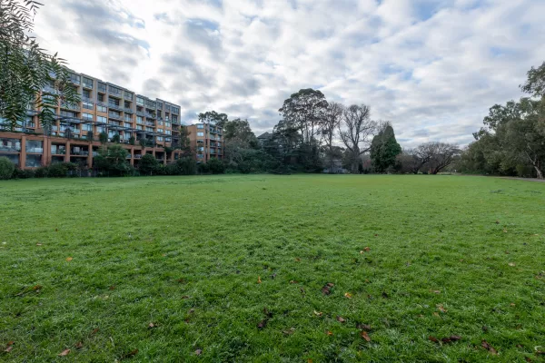 Large grass area with uneven areas of grass in the foreground. There is a multi-storey apartment block to the far left and tall trees in the distance.