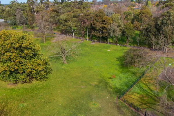 Aerial view of grass area with large green tree to the left and three scattered smaller trees with no leaves. There is a playground to the right and a footpath and trees in the distance.