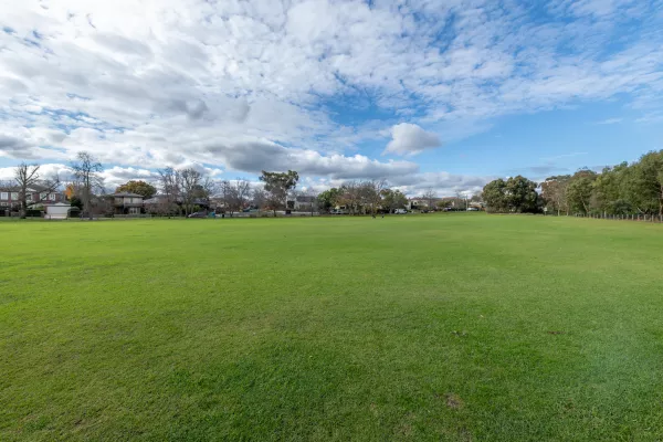 Large area of lush grass with tall trees across the horizon.