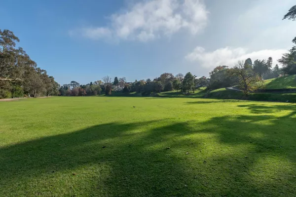 Large grass area with a line of trees to the left and in the distance. There is a path and scattered trees to the right casting shadows in the foreground.