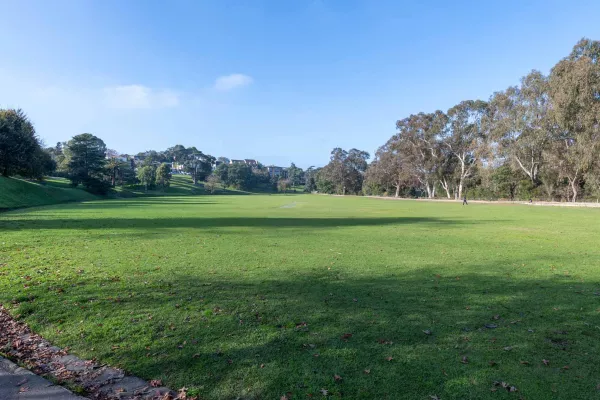 Large grass area with thick line of tall trees on the right. There is a gutter and grass slope are on the left, with houses and scattered trees in the distance.