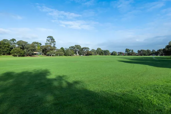 Large grass area with five soccer pitches standing in a row. There are large shadows in the foreground and to the right and tall trees in the distance.