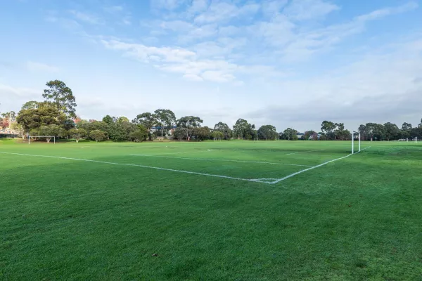 Corner view of soccer pitch with goals at each end and white line markings. There are three more adjacent soccer pitches in the background and trees on the horizon.