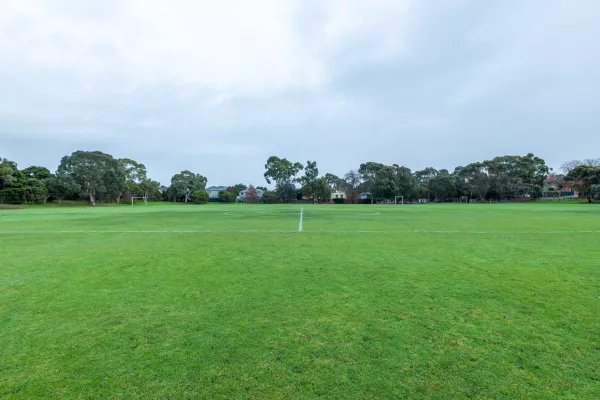 Sideline view of middle section of soccer pitch with painted white markings. There is a second adjacent soccer pitch in the background and tall trees on the horizon.