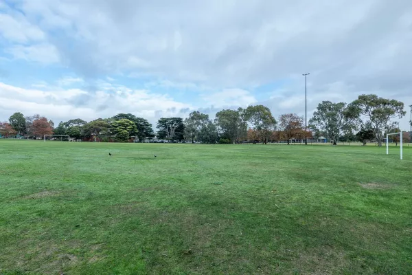 Soccer pitch with scattered patches of bare turf in the foreground. There is a light post and mature trees in the distance.