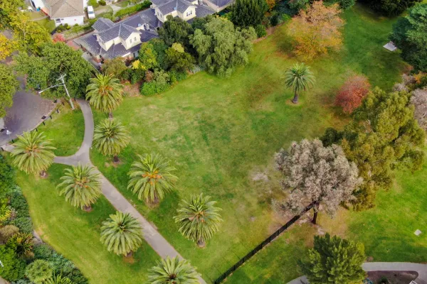 Aerial view of rectangular grass area surrounded by a variety of trees. There is a walking path and a line of palm trees to the left and houses at the top.