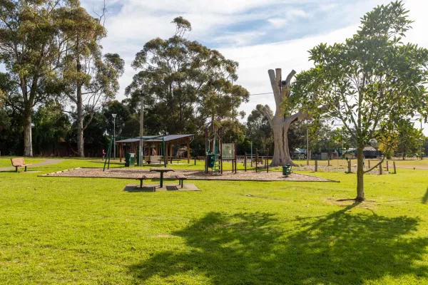 Grass area with playground and set of tables and chairs. There are tall trees in the distance, a small tree in the foreground and a large grey tree stump next to the playground.