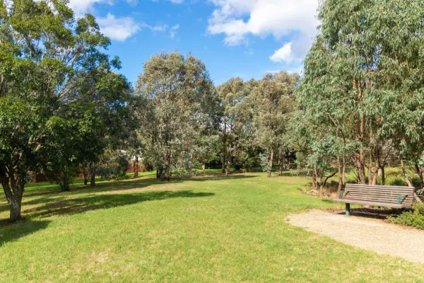 Small grass area surrounded by large trees, with a park bench and dirt patch to the right.