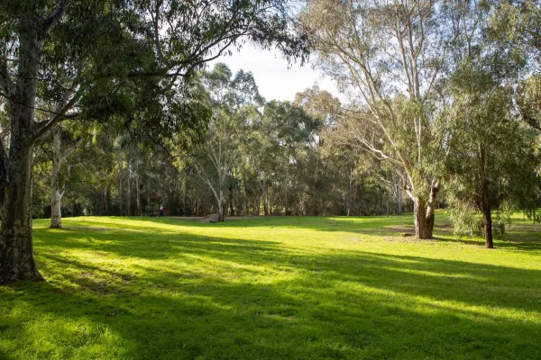 Large grass area with a thick line of mature trees in the distance. Several large trees in the foreground are casting shadows across the grass.